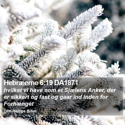 Hebræerne 6:19 DA1871 Bible Verse Image