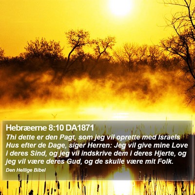 Hebræerne 8:10 DA1871 Bible Verse Image