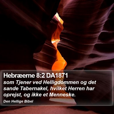 Hebræerne 8:2 DA1871 Bible Verse Image