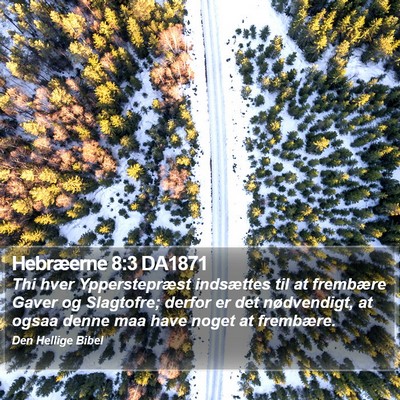 Hebræerne 8:3 DA1871 Bible Verse Image