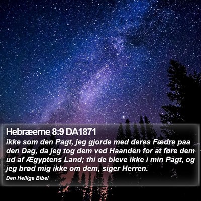 Hebræerne 8:9 DA1871 Bible Verse Image