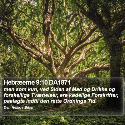 Hebræerne 9:10 DA1871 Bible Verse Image