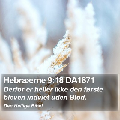 Hebræerne 9:18 DA1871 Bible Verse Image