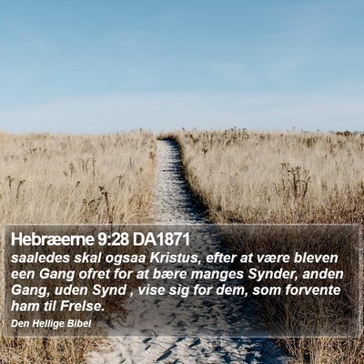 Hebræerne 9:28 DA1871 Bible Verse Image