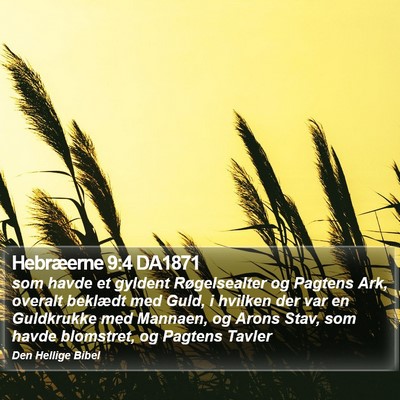 Hebræerne 9:4 DA1871 Bible Verse Image