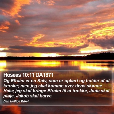 Hoseas 10:11 DA1871 Bible Verse Image