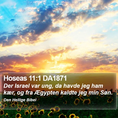 Hoseas 11:1 DA1871 Bible Verse Image