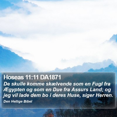 Hoseas 11:11 DA1871 Bible Verse Image