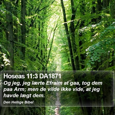 Hoseas 11:3 DA1871 Bible Verse Image