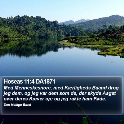 Hoseas 11:4 DA1871 Bible Verse Image