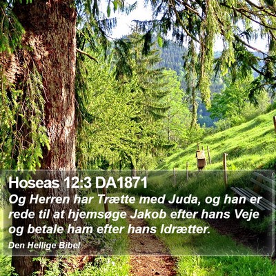 Hoseas 12:3 DA1871 Bible Verse Image