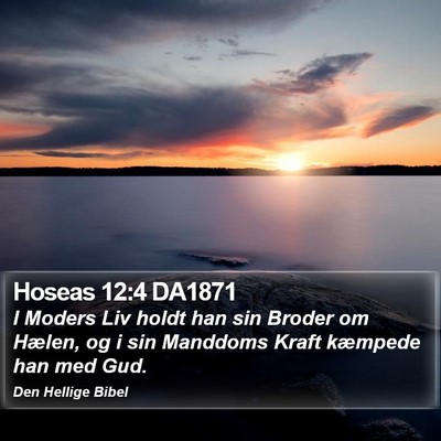 Hoseas 12:4 DA1871 Bible Verse Image