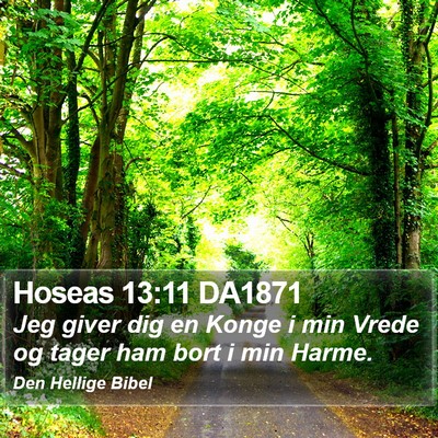 Hoseas 13:11 DA1871 Bible Verse Image