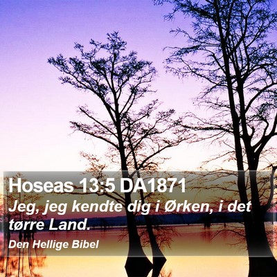 Hoseas 13:5 DA1871 Bible Verse Image