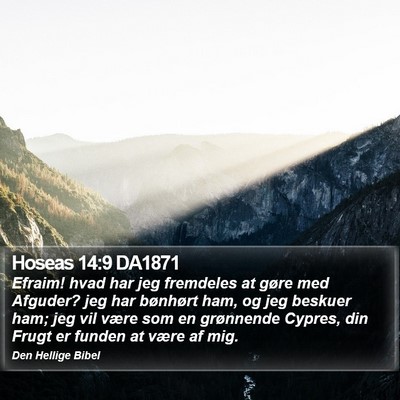Hoseas 14:9 DA1871 Bible Verse Image