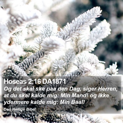 Hoseas 2:16 DA1871 Bible Verse Image