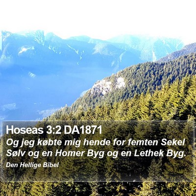 Hoseas 3:2 DA1871 Bible Verse Image
