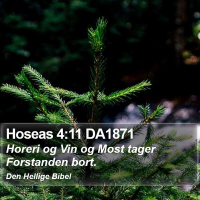 Hoseas 4:11 DA1871 Bible Verse Image
