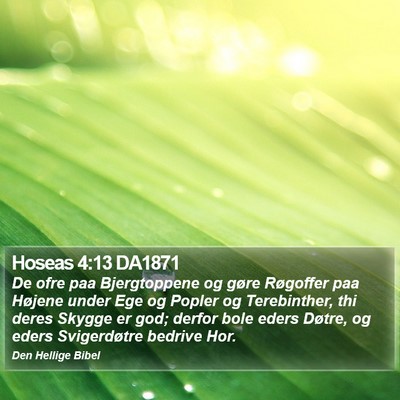 Hoseas 4:13 DA1871 Bible Verse Image