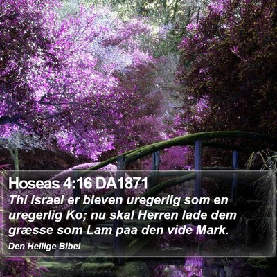 Hoseas 4:16 DA1871 Bible Verse Image