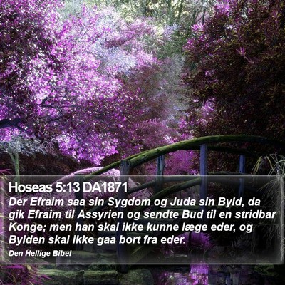 Hoseas 5:13 DA1871 Bible Verse Image