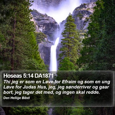 Hoseas 5:14 DA1871 Bible Verse Image