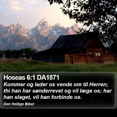Hoseas 6:1 DA1871 Bible Verse Image
