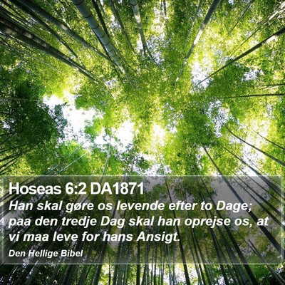 Hoseas 6:2 DA1871 Bible Verse Image
