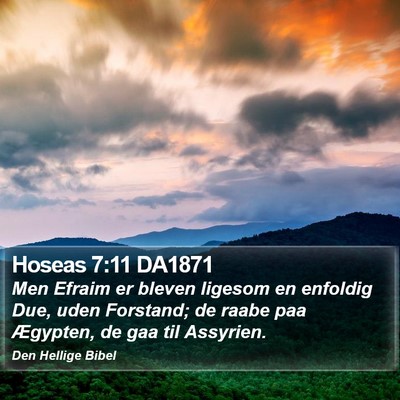 Hoseas 7:11 DA1871 Bible Verse Image