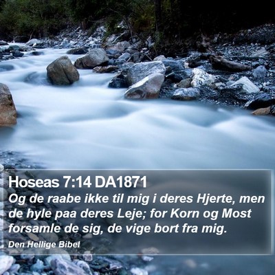 Hoseas 7:14 DA1871 Bible Verse Image