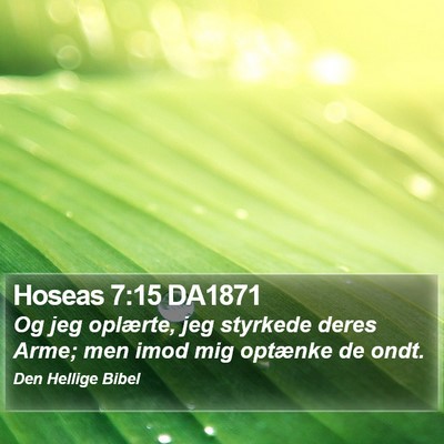 Hoseas 7:15 DA1871 Bible Verse Image