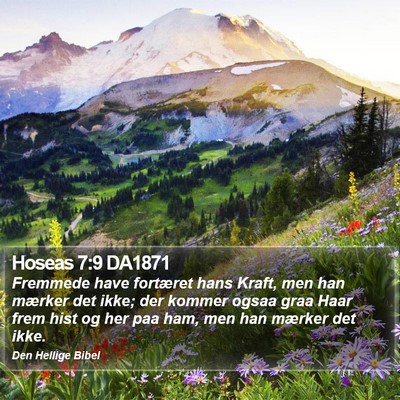 Hoseas 7:9 DA1871 Bible Verse Image