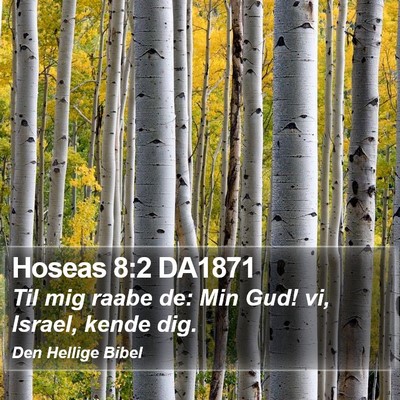 Hoseas 8:2 DA1871 Bible Verse Image