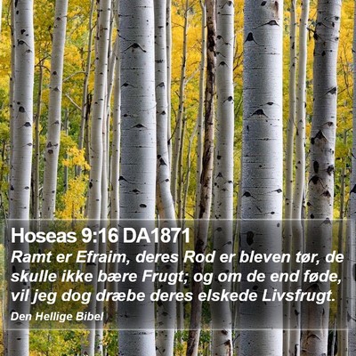 Hoseas 9:16 DA1871 Bible Verse Image