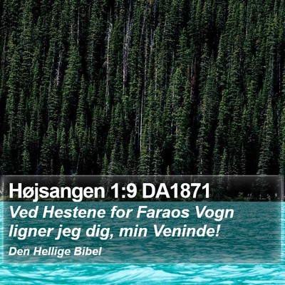 Højsangen 1:9 DA1871 Bible Verse Image