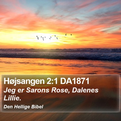 Højsangen 2:1 DA1871 Bible Verse Image