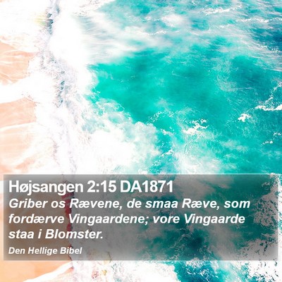 Højsangen 2:15 DA1871 Bible Verse Image
