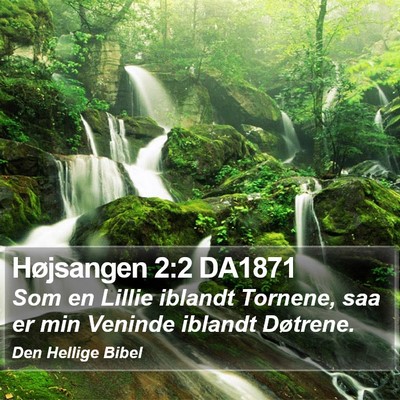 Højsangen 2:2 DA1871 Bible Verse Image