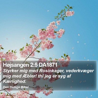 Højsangen 2:5 DA1871 Bible Verse Image