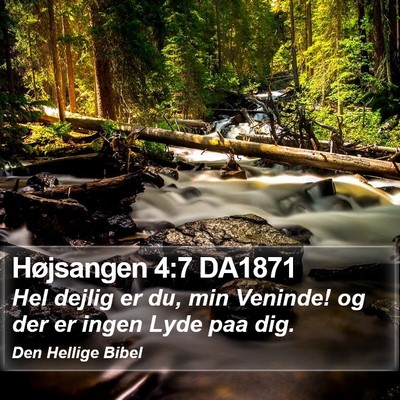 Højsangen 4:7 DA1871 Bible Verse Image
