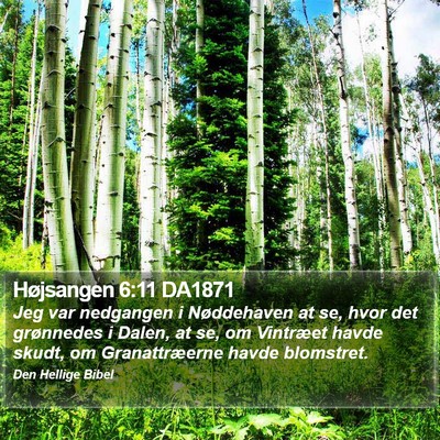 Højsangen 6:11 DA1871 Bible Verse Image