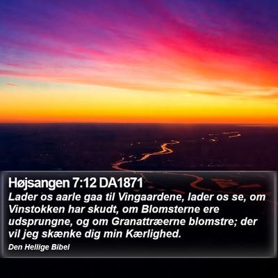 Højsangen 7:12 DA1871 Bible Verse Image