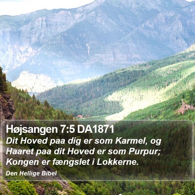Højsangen 7:5 DA1871 Bible Verse Image