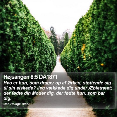 Højsangen 8:5 DA1871 Bible Verse Image