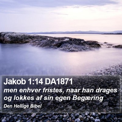 Jakob 1:14 DA1871 Bible Verse Image