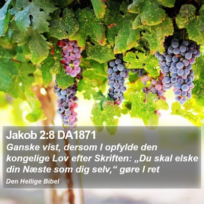 Jakob 2:8 DA1871 Bible Verse Image