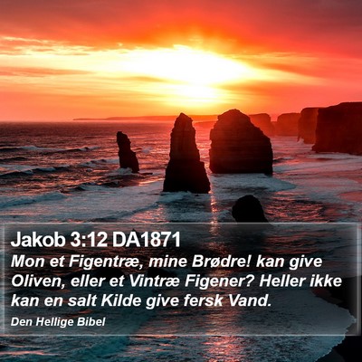 Jakob 3:12 DA1871 Bible Verse Image