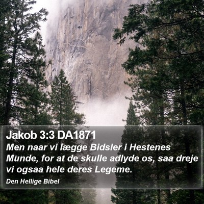 Jakob 3:3 DA1871 Bible Verse Image