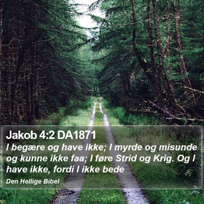 Jakob 4:2 DA1871 Bible Verse Image