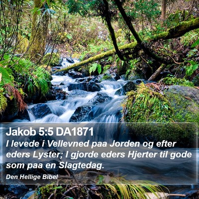 Jakob 5:5 DA1871 Bible Verse Image